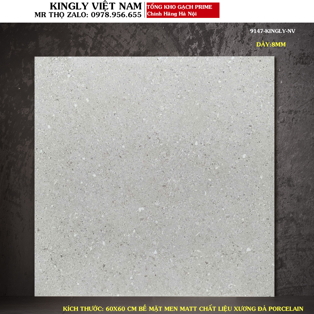 Gạch lát nền Prime 60x60 9147 Loại A1